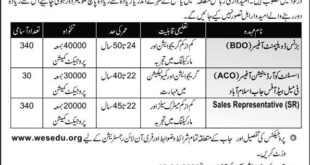World Educational Services (WES) Co-Educational Sector Jobs In Punjab And Khyber Pakhtunkhwa
